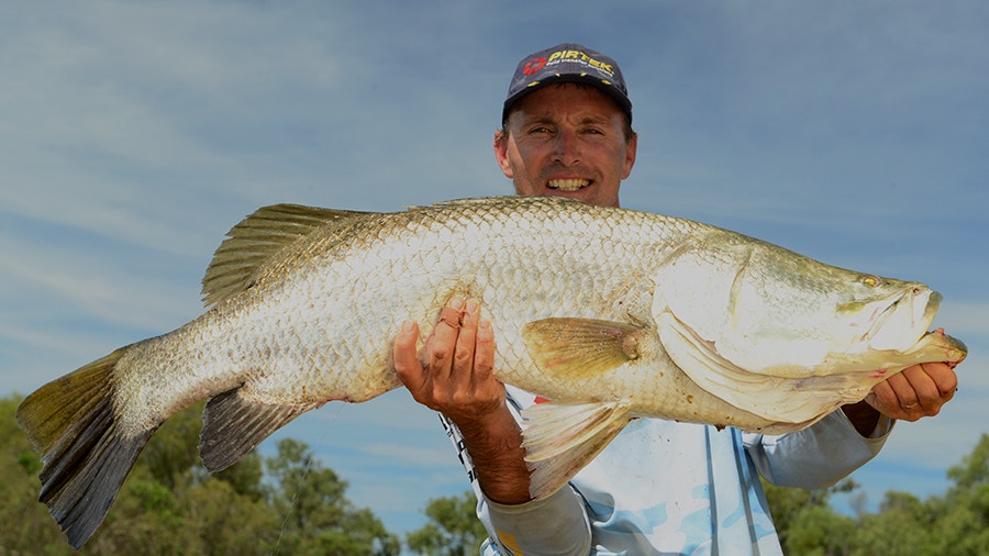 Barramundi