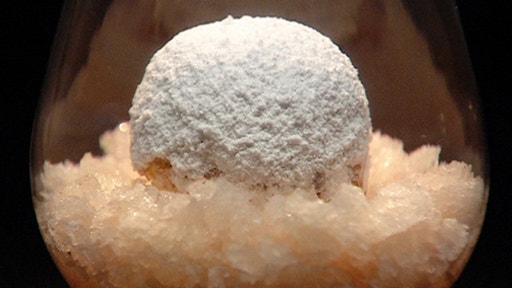 Guava and Custard Apple Snow Egg