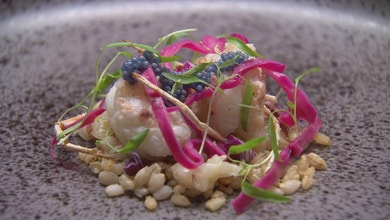 Scampi with Textures of Barley