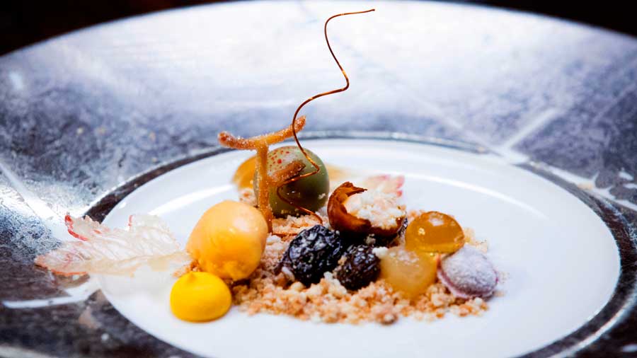 Botrytis Cinerea
