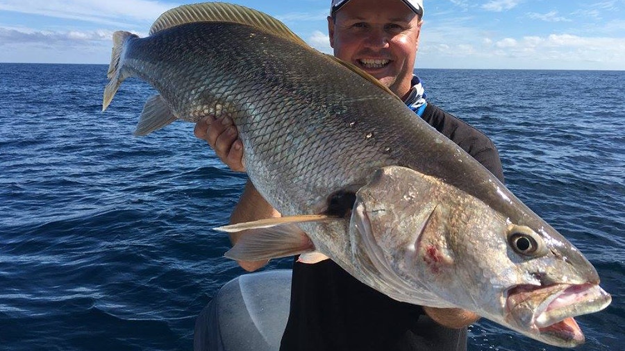 Sydney Jewfish/Mulloway - Fishing Reports - DECKEE Community