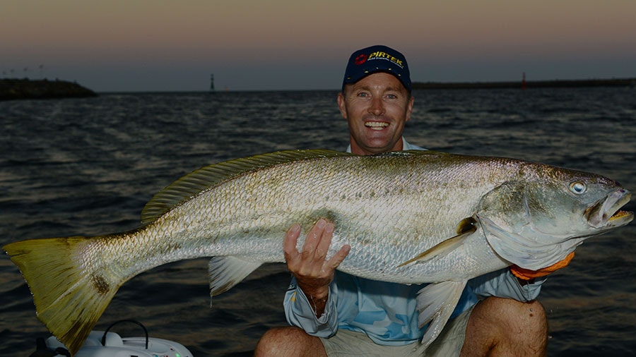 Mulloway
