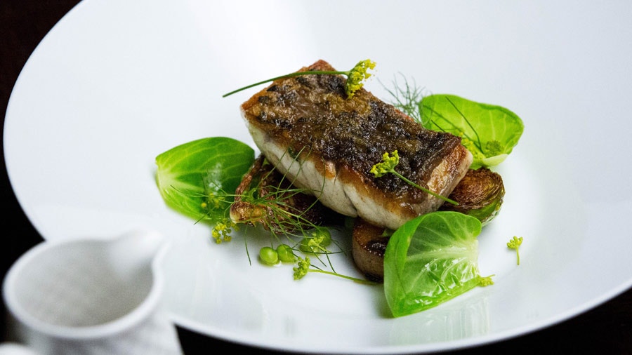 Crispy Barramundi with Sprouts, Pancetta and a Prawn Head Broth