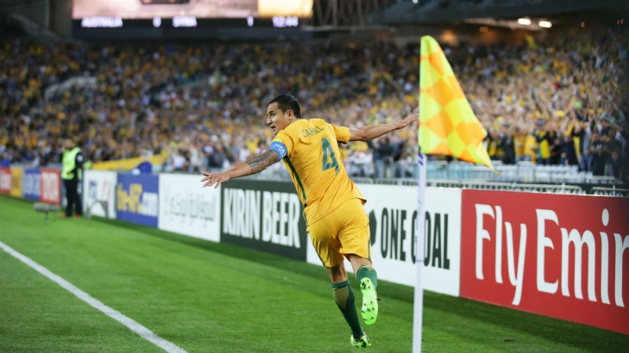 Tim Cahill celebrates