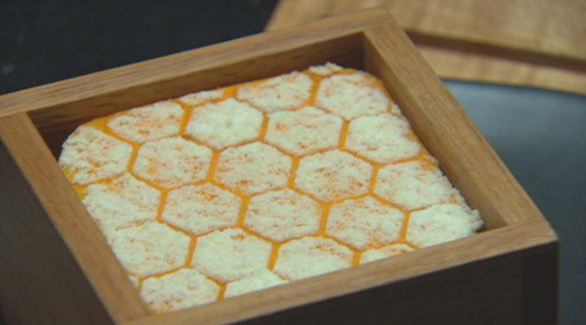 Plight Of The Bees
