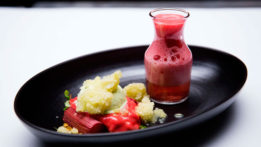 Dill and Rhubarb Spider