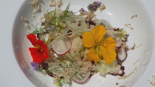 Red Wine Braised Octopus, Hilopites, Smoked Marrow and Fennel Fronds