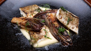 Buttered Semolina with Charred Witlof and Pan Seared King Whiting
