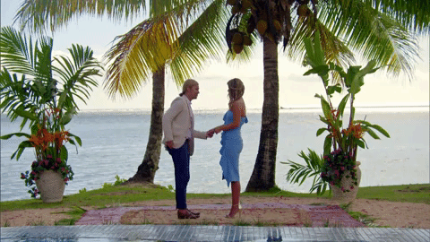 Bachelor in Paradise, S1, Finale