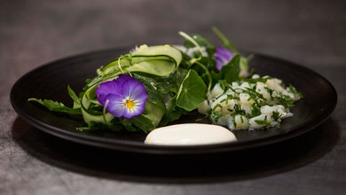 Scallop Ceviche with Compressed Cucumber and Cultured Cream