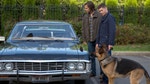 Episode 5 "Dog Dean Afternoon"