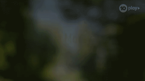 Neighbours opening credits
