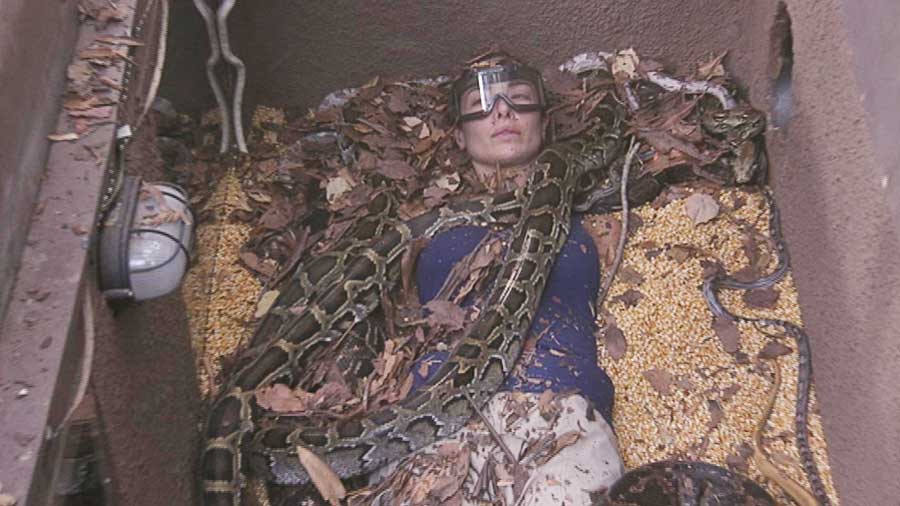 I'm A Celebrity... Get Me Out Of Here! Viper Room Laurina Fleure