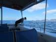 Whale watcher