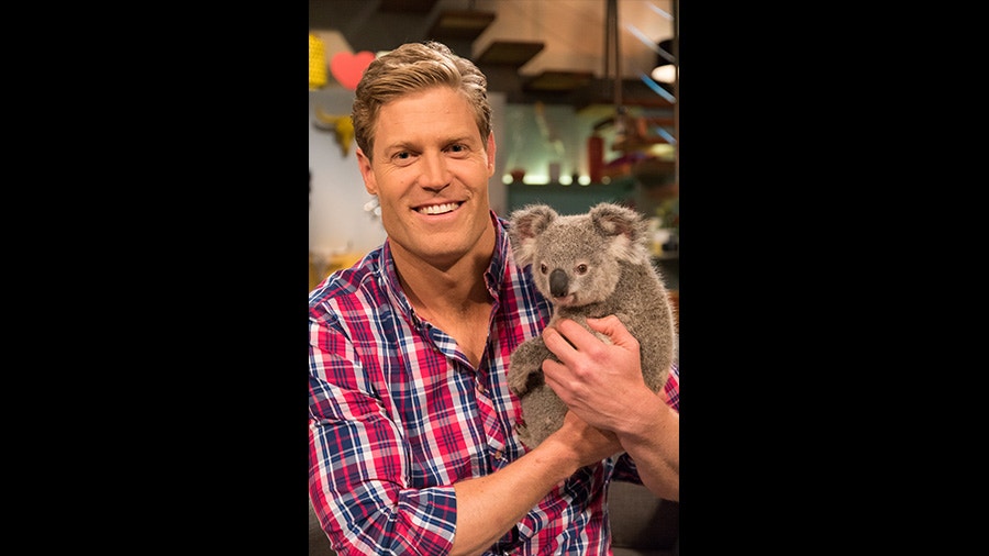 Koalas In The Studio