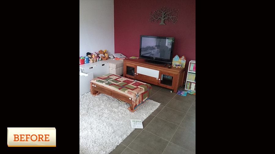 Peter Walsh Garage and Living Room Declutter