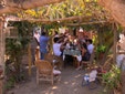 Family feed