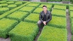Paul Bangay's Garden