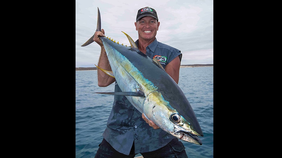 Yellow Fin Tuna