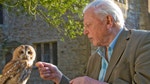 David Attenborough's Natural Curiosities