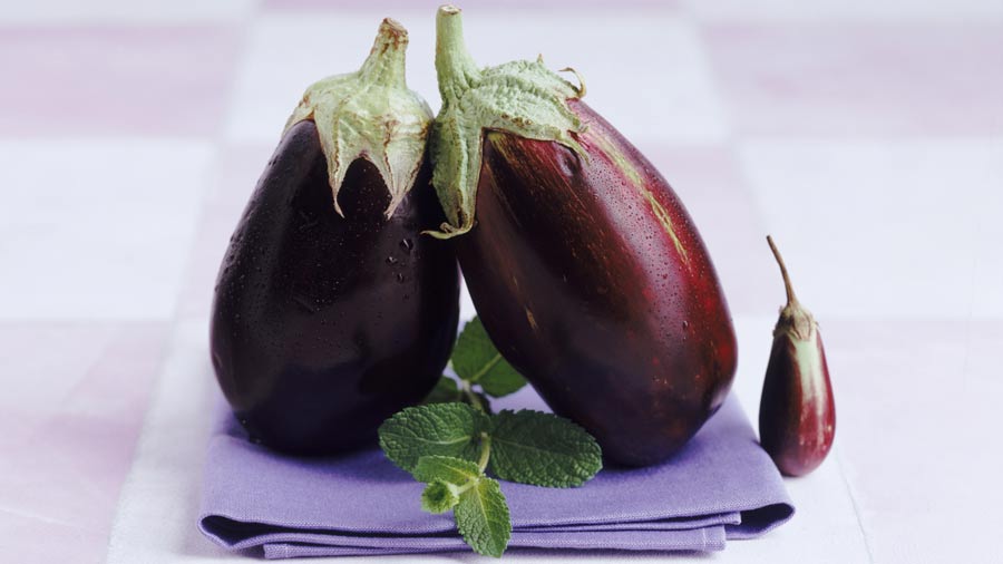 Seasonal shoutout Eggplant