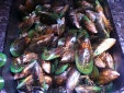 Emerald eats