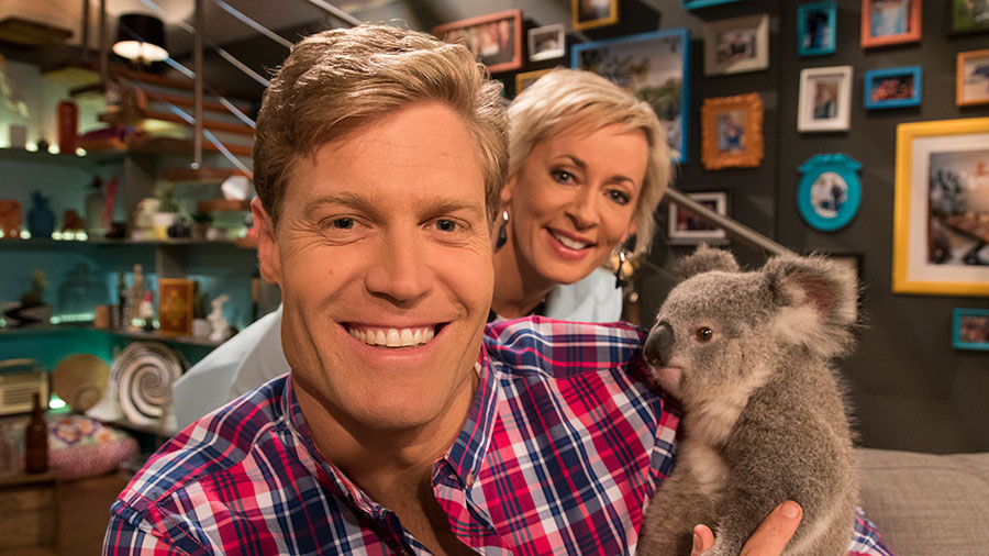 Koalas In The Studio