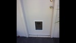 Brand New Doggy Door