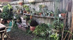 Wall Planters