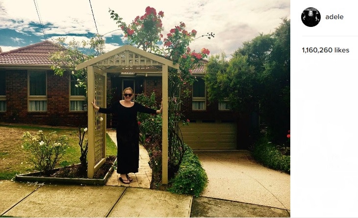 neighbours adele