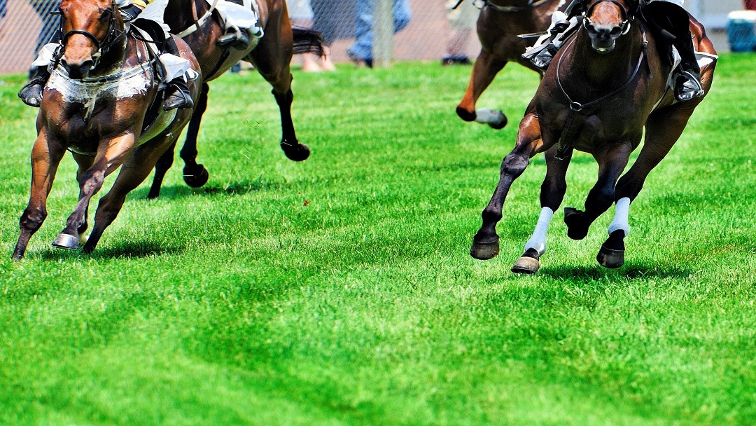 International Horse Racing on 10