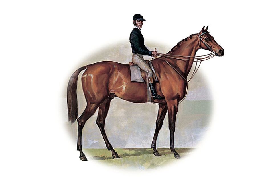 Melbourne Cup Timeline