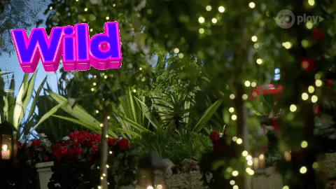 The bachelor australia season 7 on 10 and 10 play 2019