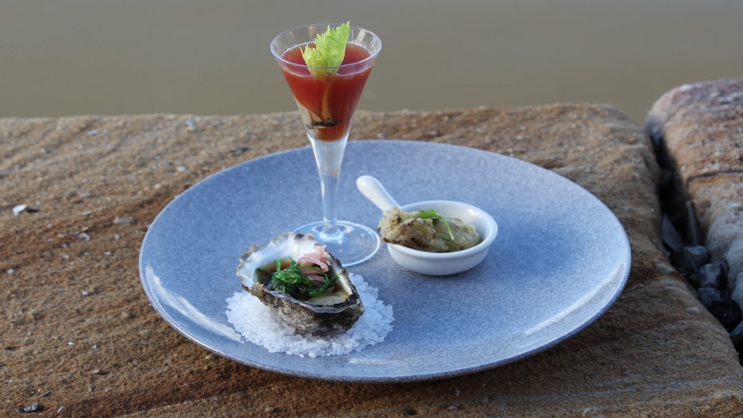 Oysters