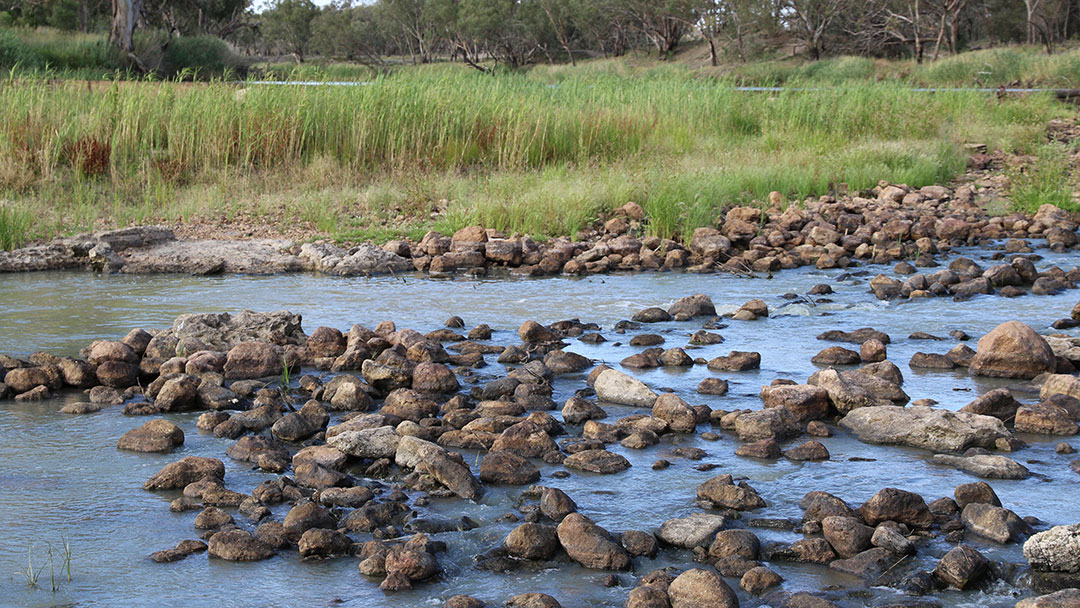 Learn more about the fish traps in Brewarrina. Watch Stuff Everyone Should Know About Australia on 10 play