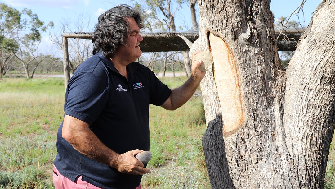 Learn more about scar trees. Watch Stuff Everyone Should Know About Australia on 10 play