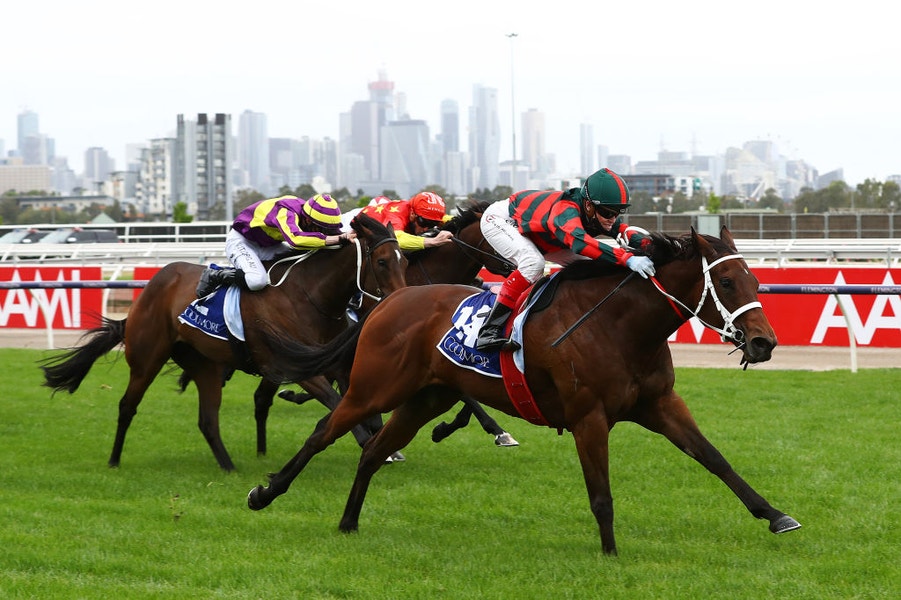 Craig Williams riding #12 September Run