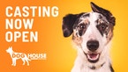 Apply For The Dog House Australia Season 4
