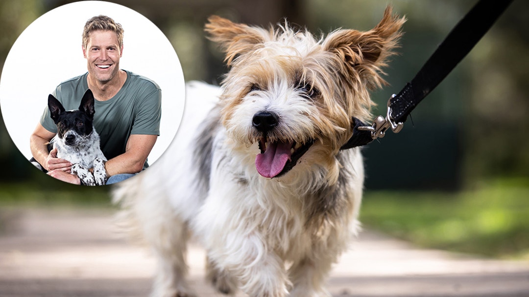 ‘It’s A Love Story’: Dr Chris Brown Reveals What To Expect From The Dog House Australia