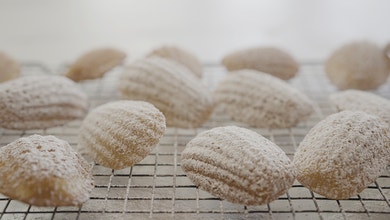 French Vanilla Madeleines