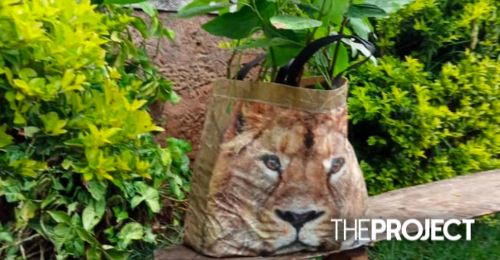 Alarm Bells Rang After A Tote Bag Was Mistaken For A Stray Lion