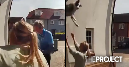 Woman Heroically Catches Dog Falling Out Of A Window