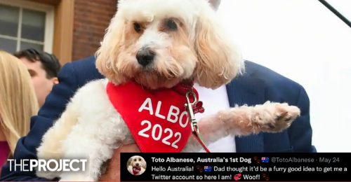 Anthony Albanese’s Dog, Toto, Already Has A Fan Account Amassing Thousands Of Followers