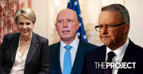 Labor MP Tanya Plibersek Apologises After Comparing Liberal MP Peter Dutton To Voldemort