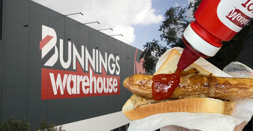 And all was right with the world once again!! First Bunnings snag
