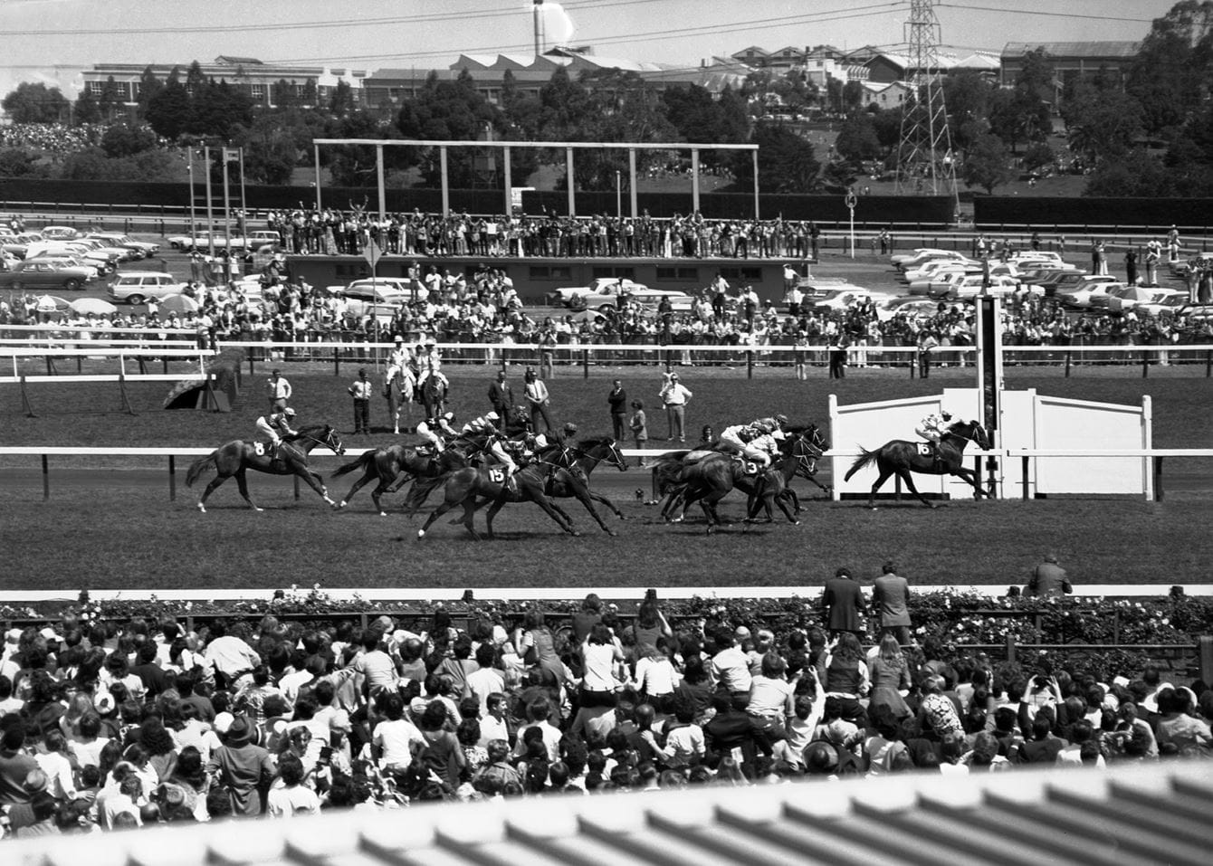 Melbourne Cup Moments in Time - Network Ten