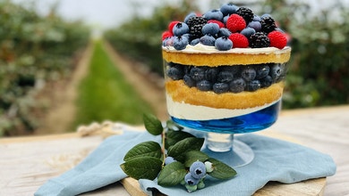 Spring Blueberry Trifle