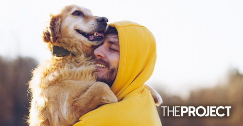 Scientists Confirm Patting Your Dog Is Good For You