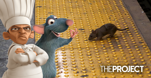 New York Looking For A $170K A Year Rat Tamer To Control Rodent Infestation In The City