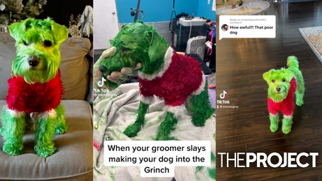 did they use a real dog in the grinch